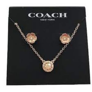 Rose Gold Coach earrings and Necklace Set